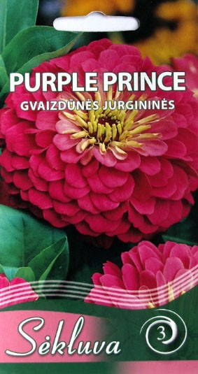 Gvaizdūnės Purple Prince (3 grupė)