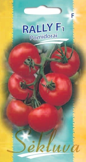 Pomidorai Rally (F grupė)