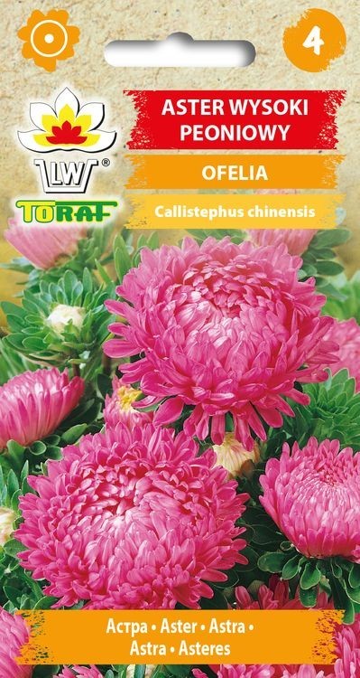 Ratiliai kininiai bijūniniai Ofelia 1g
