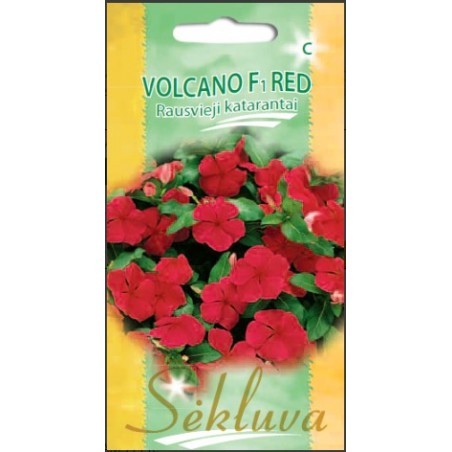 Katarantai rausvieji Volcano Red (D grupė)