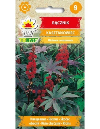 Ricinmedžiai paprastieji raudonlapiai