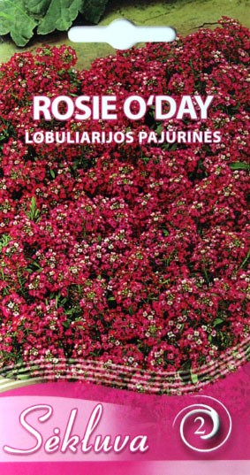Lobuliarijos pajūrinės Rosie O'Day (2 grupė)