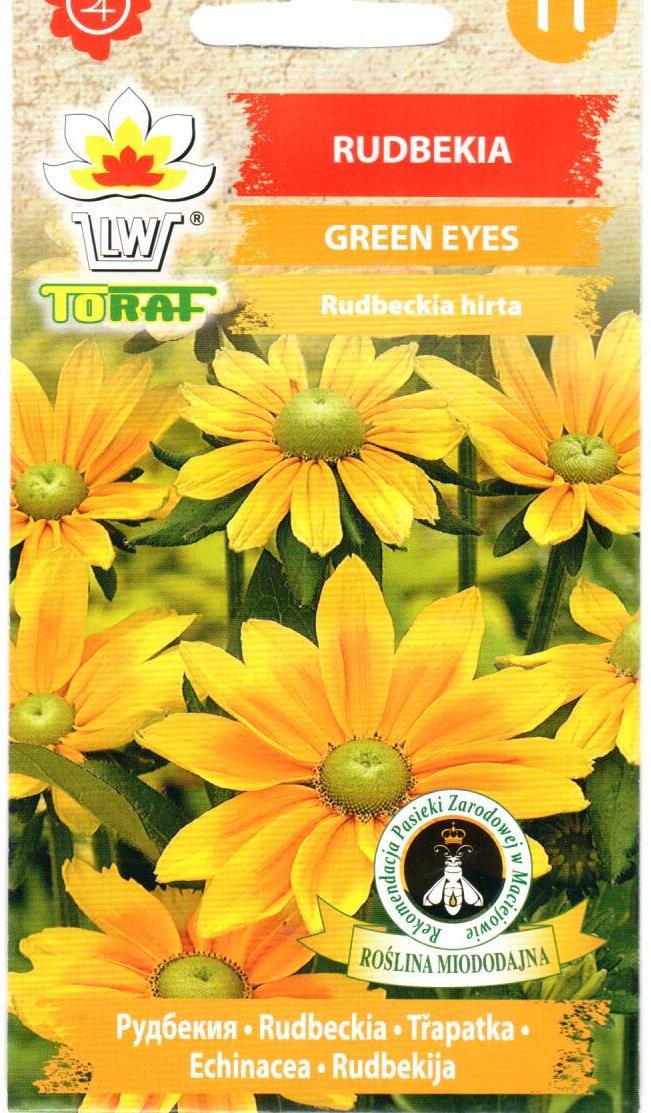 Rudbekijos plaukuotosios Green