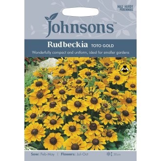 Rudbekijos plaukuotosios Toto Gold