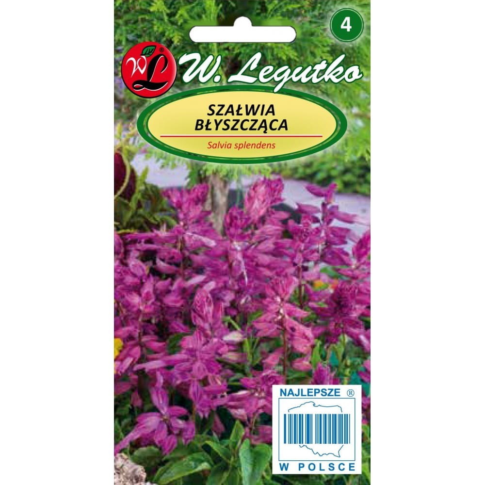 Šalavijai raudonžiedžiai (violetiniai)