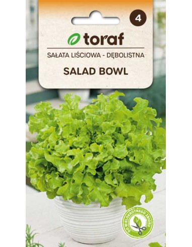 Salotos Bowl