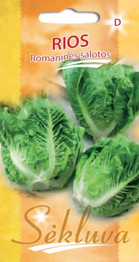 Salotos romaninės Rios (D grupė) 20s