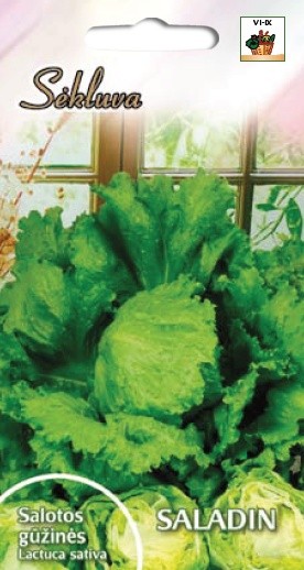 Salotos gūžinės Saladin (Baltic)