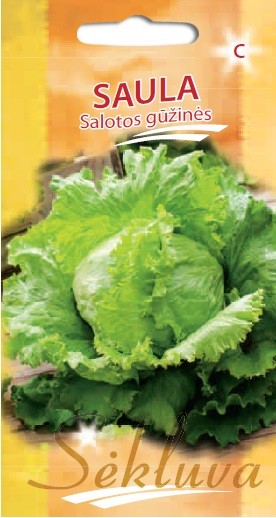 Salotos Saula (C grupė) 25s