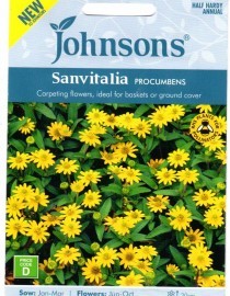 Sanvitalijos gulsčiosios Procumbens