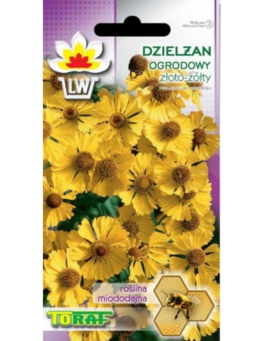 Saulainės Helenium Hopesii
