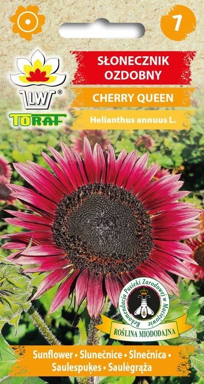 Saulėgražos Cherry Queen Red