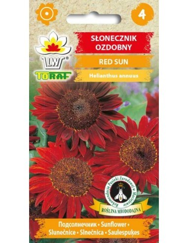 Saulėgrąžos tikrosios Red Sun