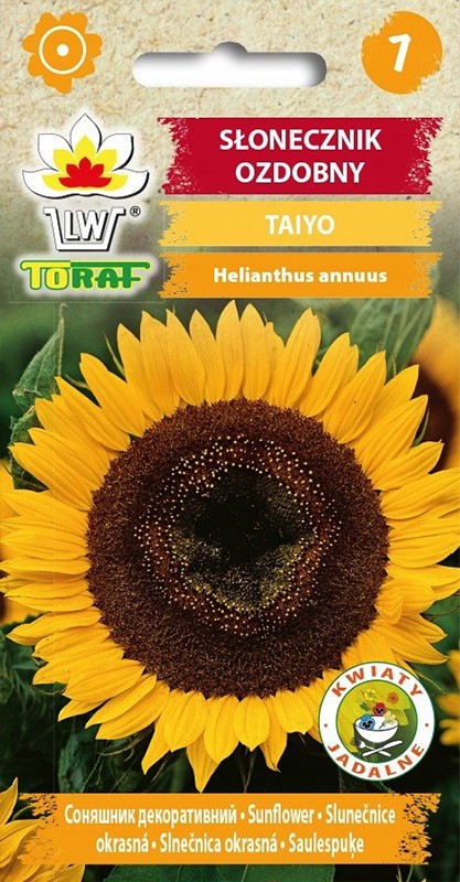 Saulėgražos tikrosios Taiyo