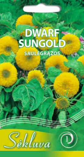 Saulėgrąžos Dwarf Sungold (1 grupė)