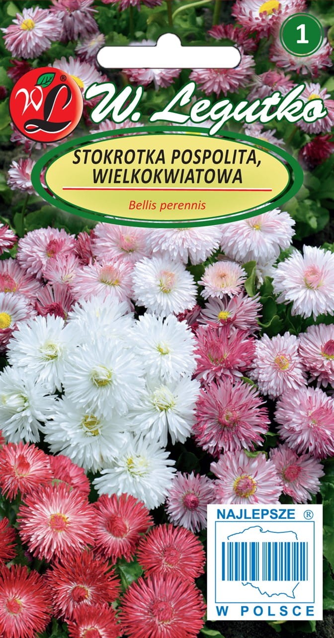 Saulutės didžiažiedės