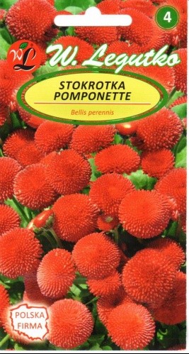 Saulutės daugiametės Pomponette (raudonos)