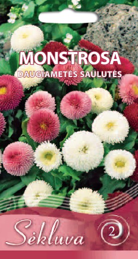 Saulutės daugiametės Monstrosa (2 grupė)