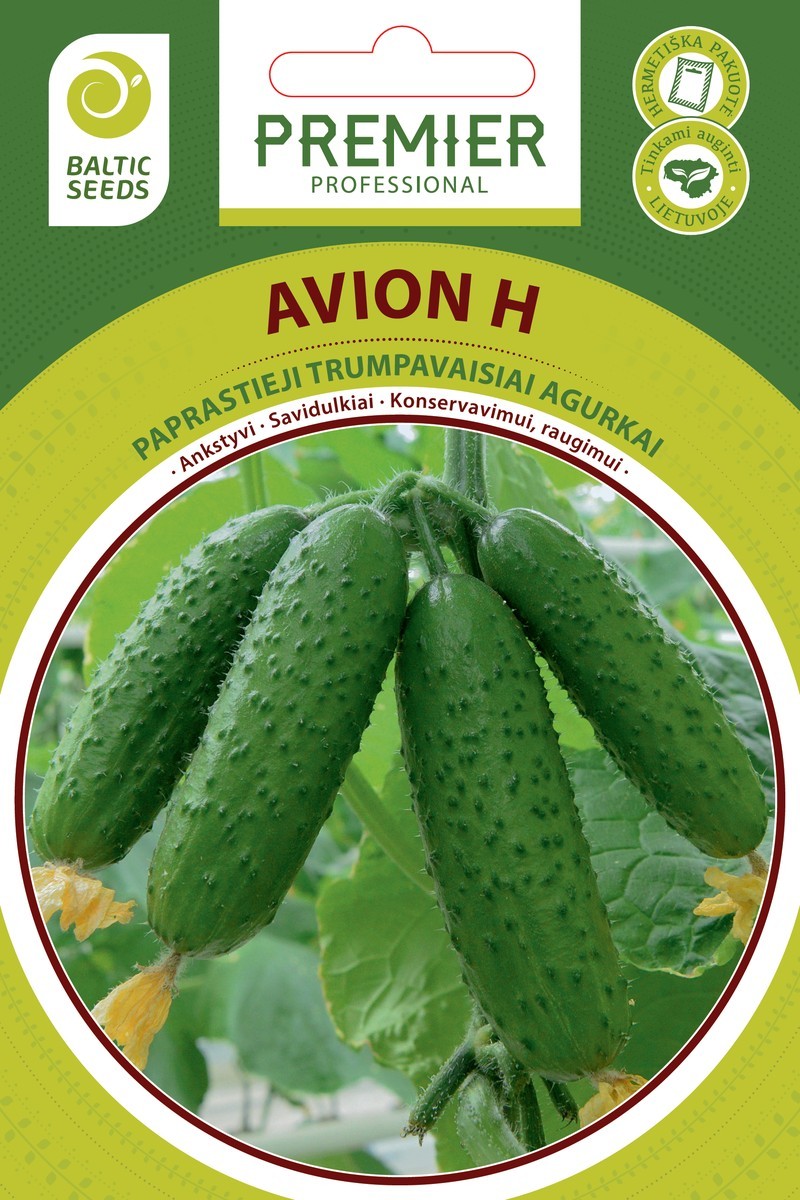 Agurkai Avion H