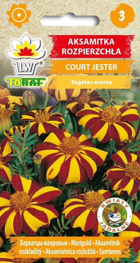 Serenčiai gvazdikiniai Court Jester