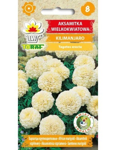 Serenčiai didieji Kilimanjaro 0.3g