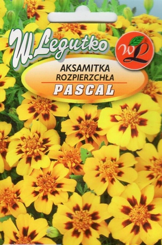 Serenčiai gvazdikiniai Pascal