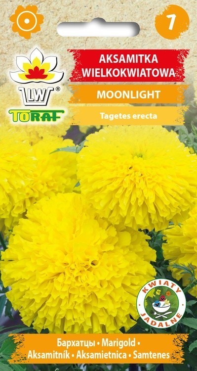 Serenčiai didieji Moonlight 1g