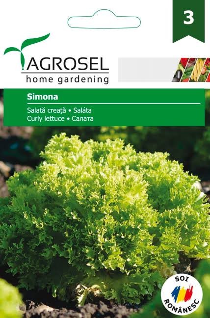 Salotos Simona 3g