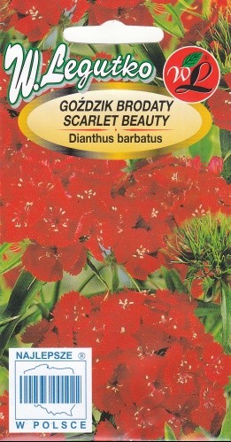 Gvazdikai šiurpiniai Scarlet Beauty