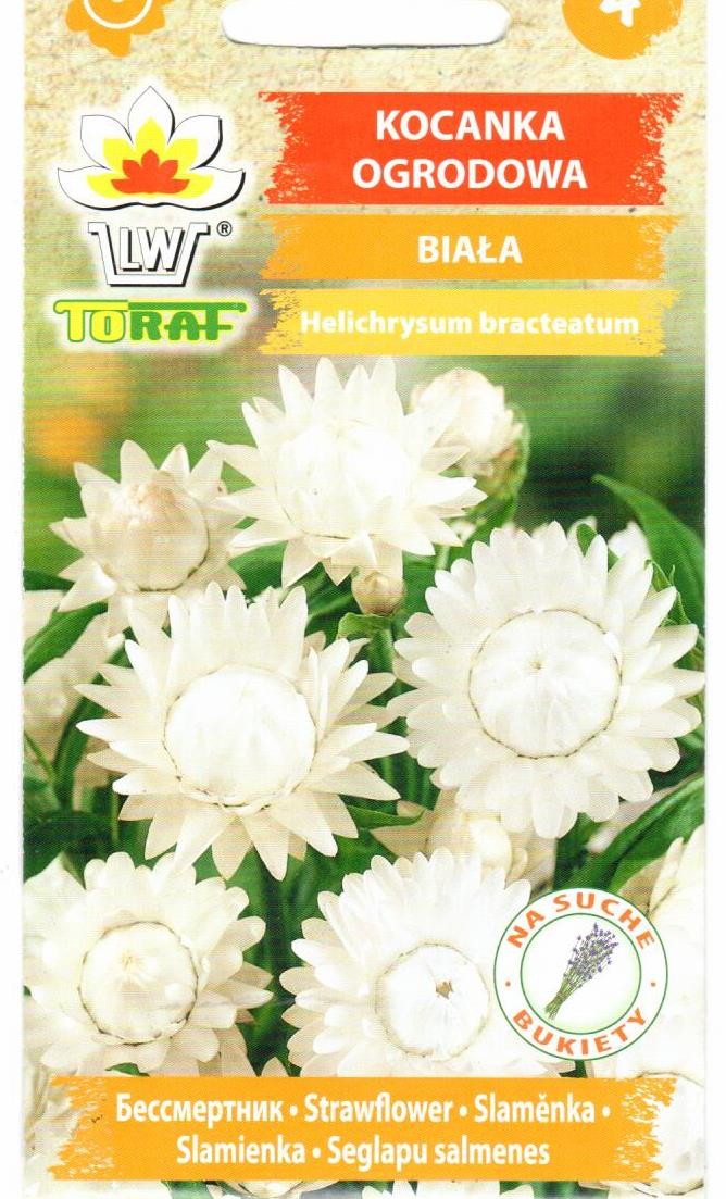 Šlamučiai darželiniai (balti)