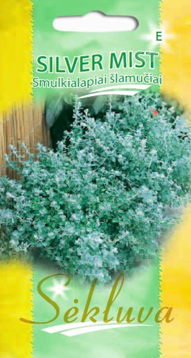 Šlamučiai smulkialapiai Silver Mist (E grupė)