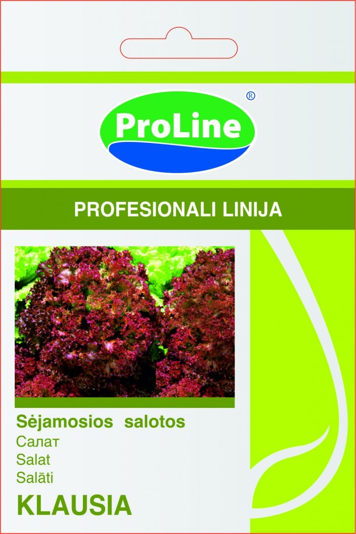 Salotos Klausia H 30s