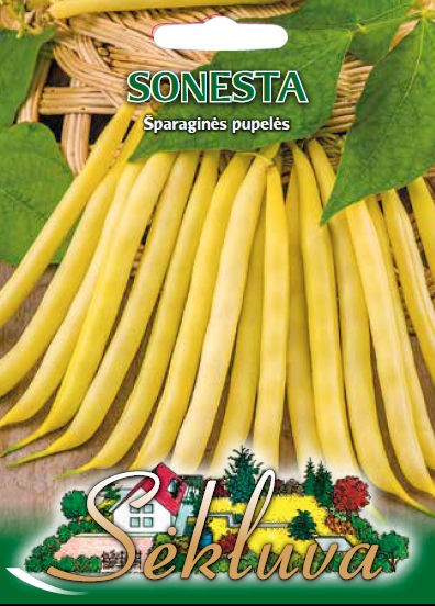 Pupelės šparaginės Sonesta (Sodžius)