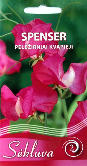 Pelėžirniai kvapieji Spenser (2 grupė)