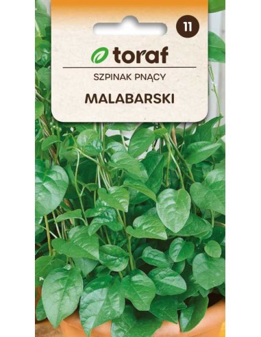 Špinatai vijokliniai Malabar 0.5g