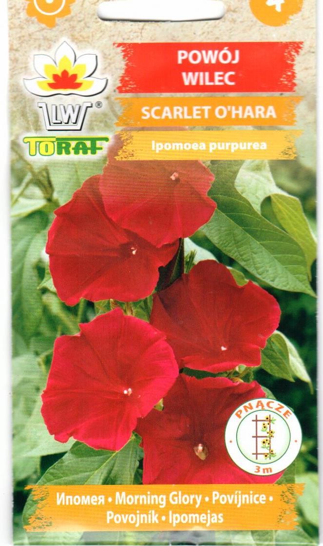 Sukučiai purpuriniai Scarlet O Hara 2g