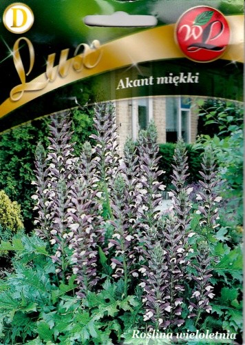 Akantai švelnieji