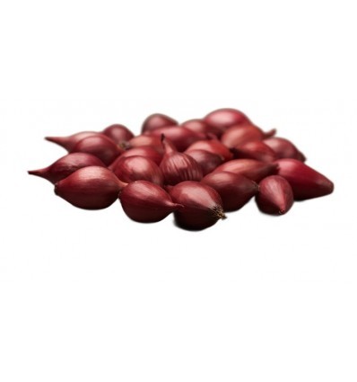 Svogūnų sodinukai žieminiai Akado 0.5kg