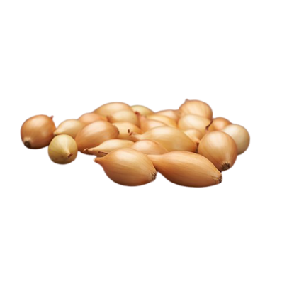 Svogūnų sodinukai žieminiai Shakespeare 0.5kg 14-21mm