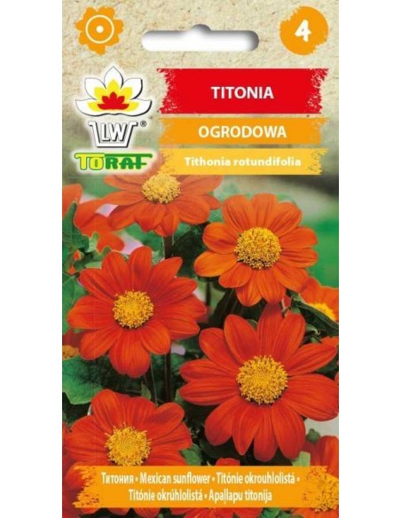 Titonijos apskritalapės