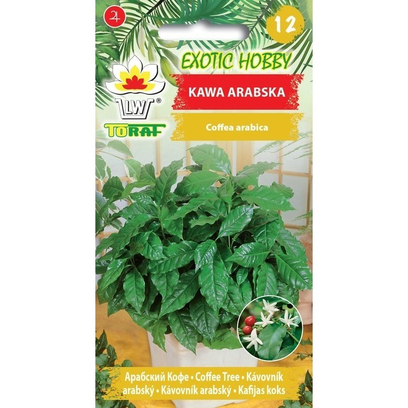 Kavamedžiai arabiniai