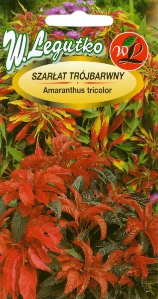 Burnočiai trispalviai