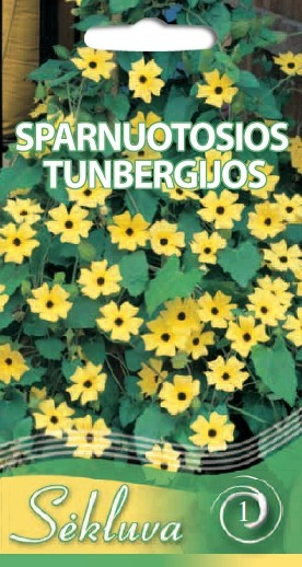Tunbergijos sparnuotosios Jellow (1 grupė)