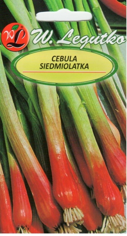 Česnakai tuščialaiškiai (žieminiai svogūnai) Red Toga