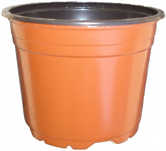 Vazonas daigams 17x12.9cm 2L (VCD17)