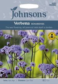 Verbenos patagoninės Bonariensis 200s