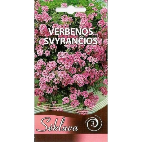 Verbenos darželinės svyrančios (3 grupė)