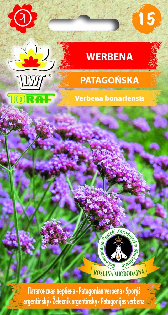Verbenos patagoninės 0.2g