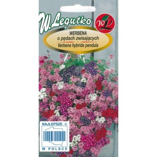 Verbenos svyrančios