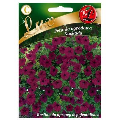 Petunijos svyrančios Kaskada Lux (purpurinės)